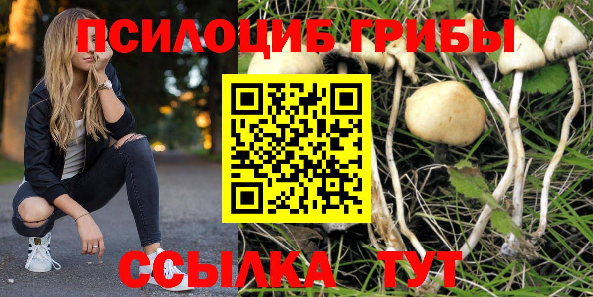 Галлюциногенные грибы Magic Shrooms  Псилоцибиновые грибы мухоморы  Вход с VPN  Бугуруслан 